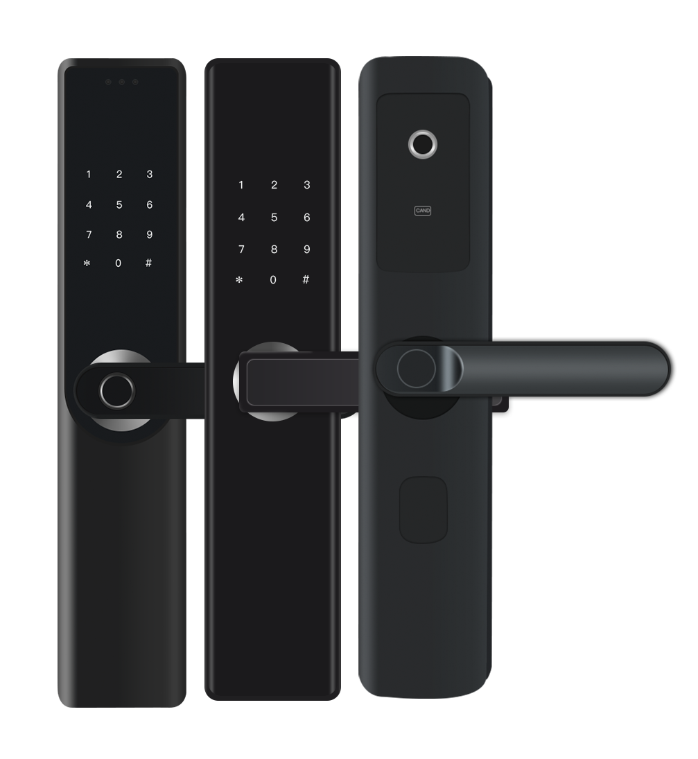 Smart Home Login - Serratura Elettronica per Porta con WiFi,