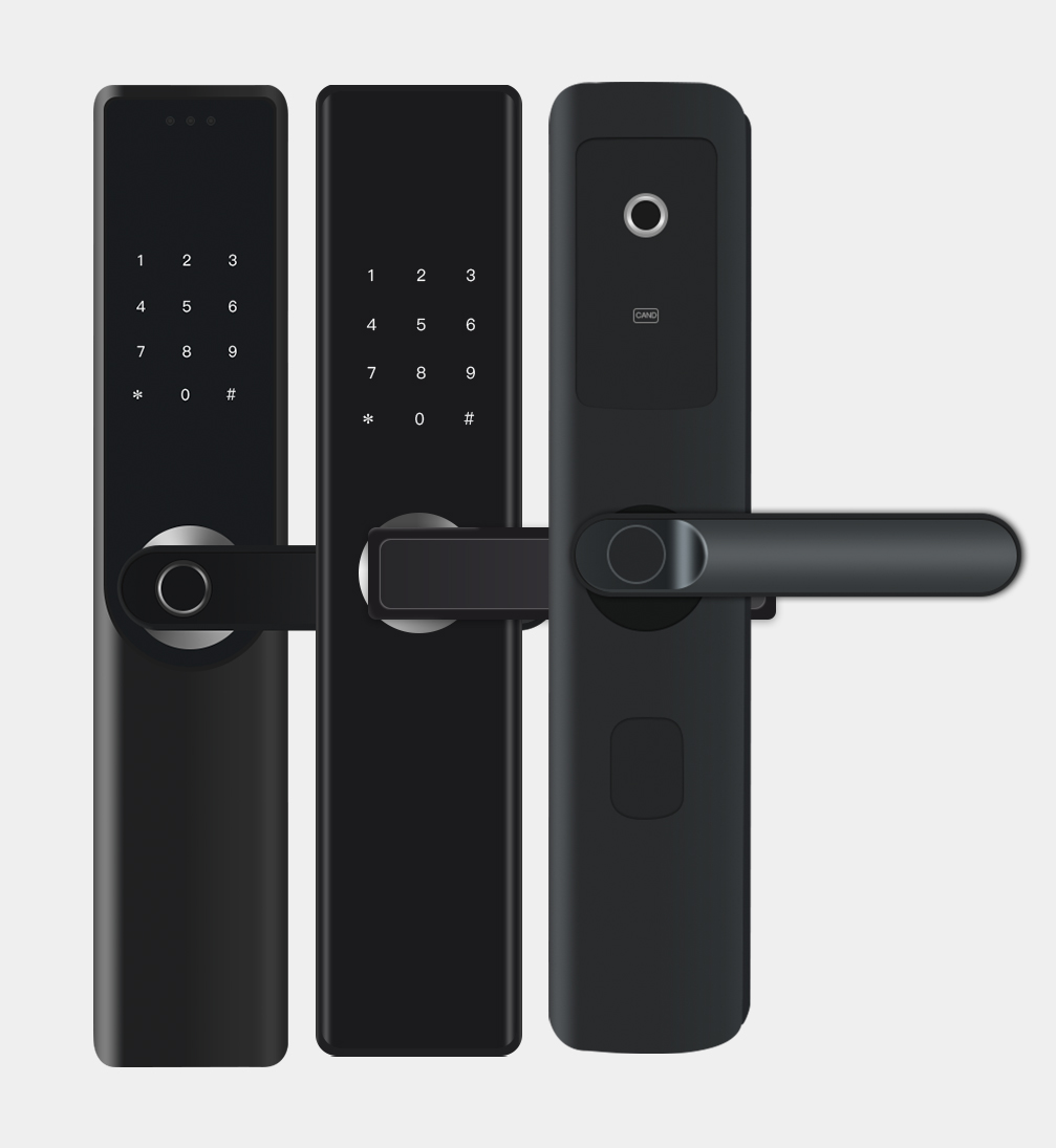 Serratura Elettronica per Port - Smart Home Login recensione e prezzo